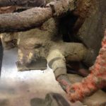 Cforcar Facel Vega Restoration 1 347